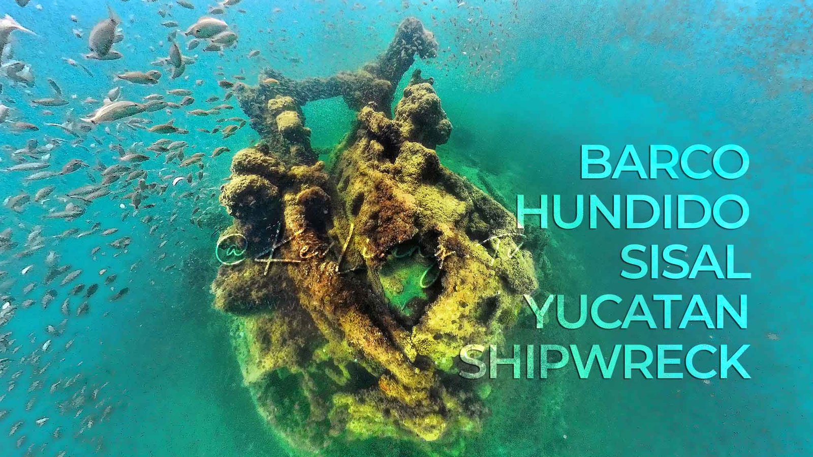 Complete History of the Sunken Ship in Sisal Yucatán, Discovery of "The Wreck of the Steamer La Unión (1861)" Research by INAH