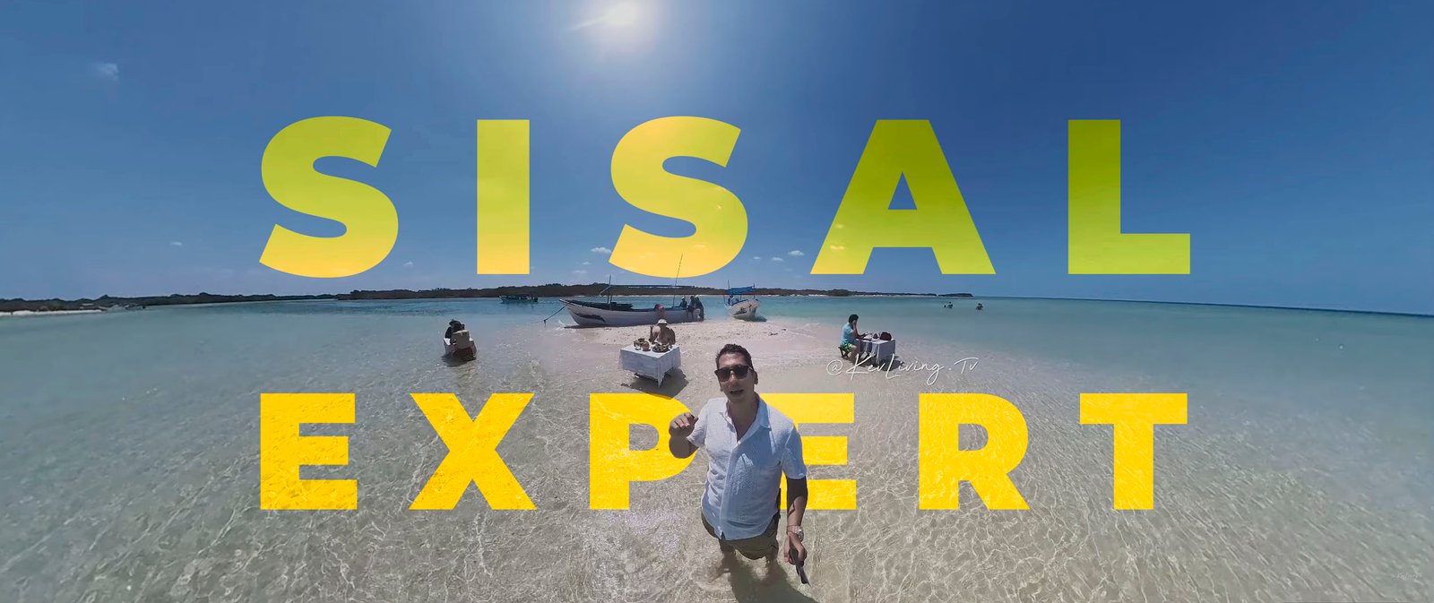 ¿How to Choose a Real Estate Agent in Sisal? &amp; Why I’m your best option