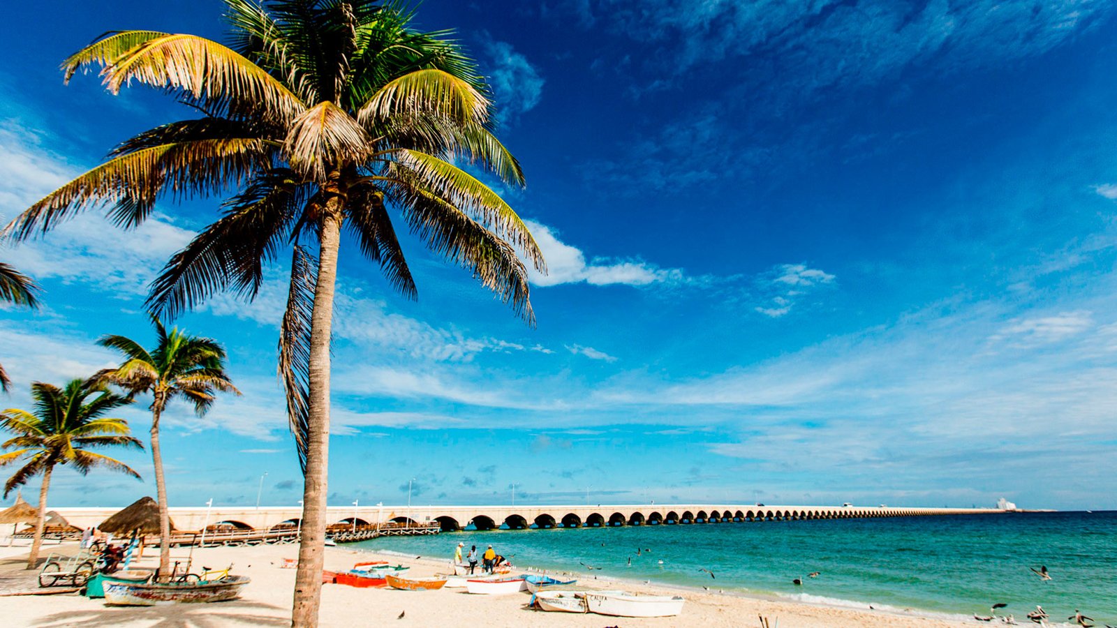 3 real estate tours you can book in Yucatán to discover the most interesting areas to invest in
